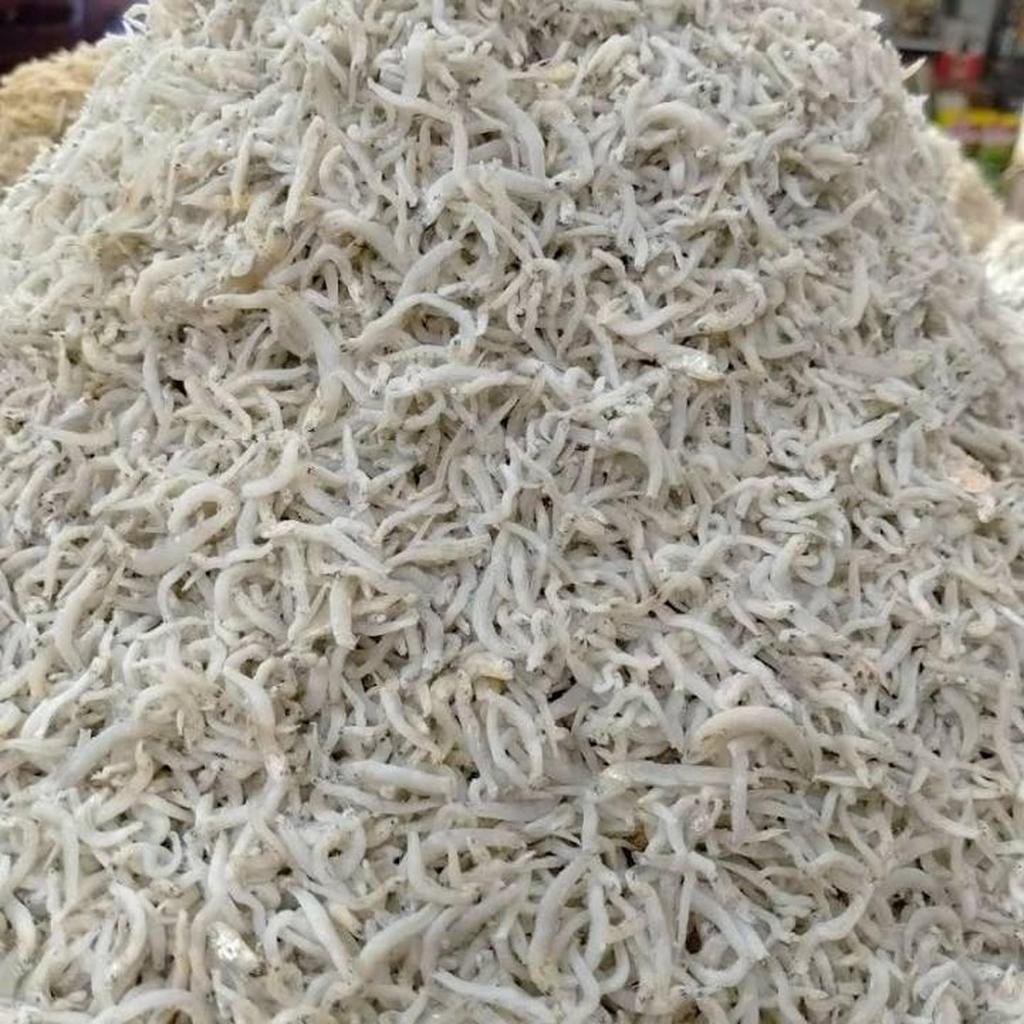 Teri Medan Premium Pulau Pasaran